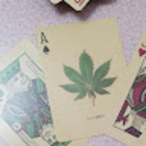 Meet your Posher, Carlos g